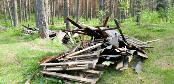 Debris Removal Service in Monroe Township