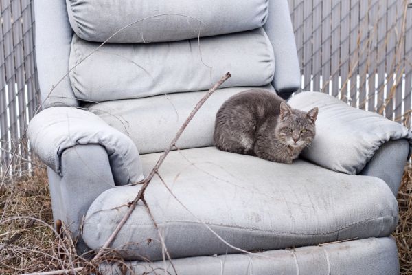 Recliner Disposal in Monroe Township